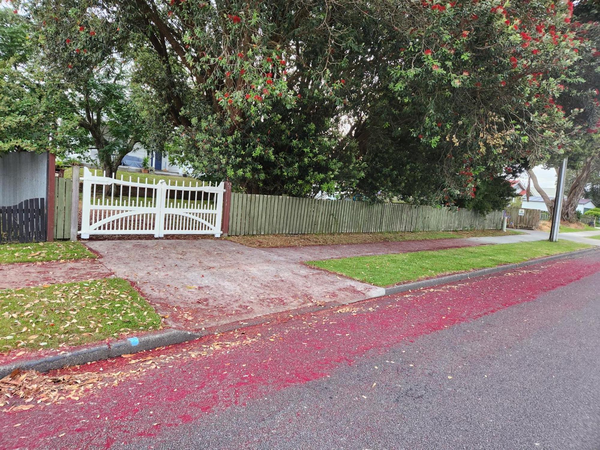 Quirky Villa Homestay Whanganui Exterior photo