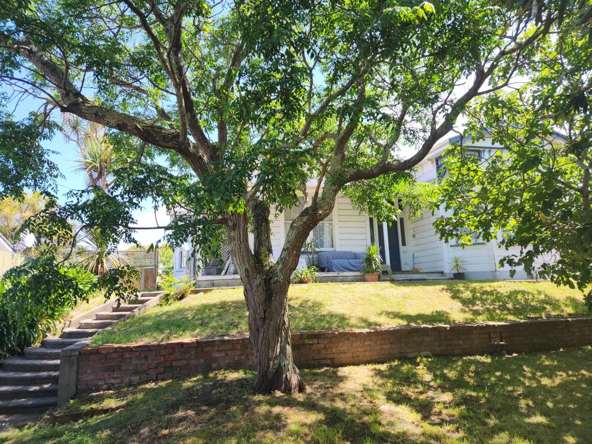 Quirky Villa Homestay Whanganui Exterior photo